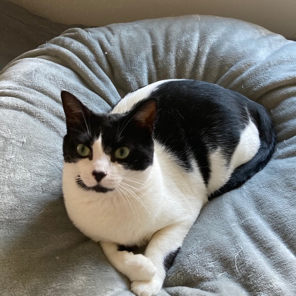 Meet your Posher, Jill - Picture 1 of 1